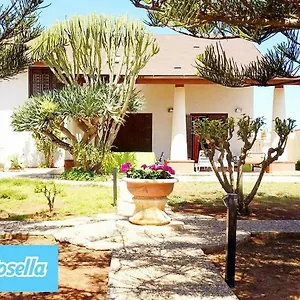 Rosella Italia